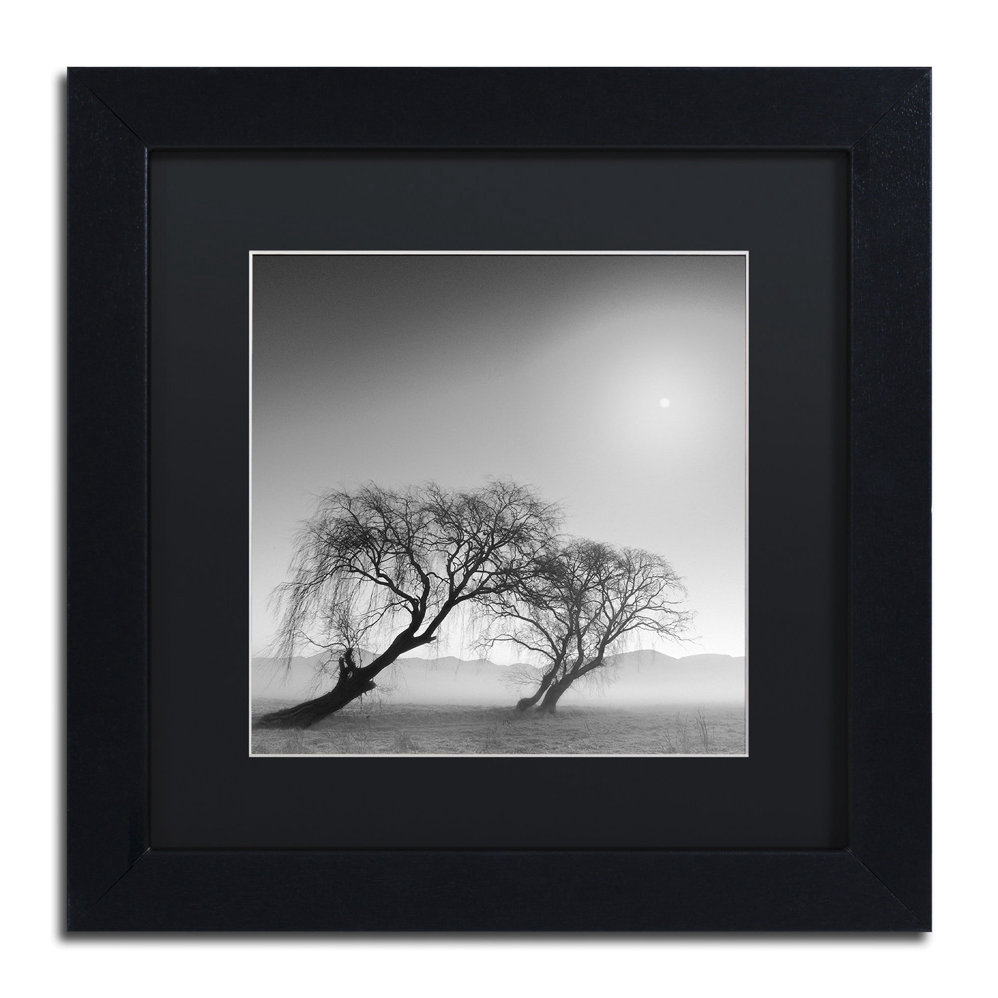 Trademark Fine Art "Reverencia" Canvas Art by Moises Levy Black Matte, Black Frame