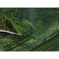thumbnail image 3 of Ambesonne Jungle Quilted Coverlet 3 Pcs, Tropical Thailand Forest, Queen Size, Green, 3 of 4