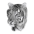thumbnail image 1 of Tatuajes temporales en el brazo para hombres y mujeres, pegatinas falsas, tatuajes populares, 1 of 1