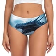 thumbnail image 1 of Balery Blue Thunder Storm Dragon Ropa Interior de Algodón para Mujer con Dibujo – Braguitas Cómodas y Elásticas, Estilo Clásico-3X-Large, 1 of 6