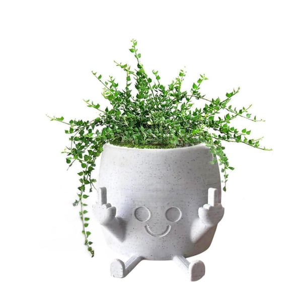 Maceta sonriente con los dedos hacia arriba, maceta suculenta con sonrisa de resina, maceta novedosa para plantas pequeñas, una expresión divertida