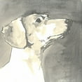 thumbnail image 2 of A Very Modern Dog  26x26 Black Ornate Wood Framed with Double Matting Museum Art Print Titled - Sepia Modern Dog IV, 2 of 4