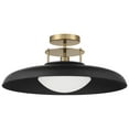thumbnail image 2 of Gavin 1-Light Ceiling Light in Matte Black with Warm Brass Accents, 2 of 5