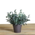 thumbnail image 2 of Northlight 9.5" Leafy Artificial Potted Foliage - Green/Brown, 2 of 2