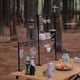 thumbnail image 2 of Estante colgante para mesa de camping desmontable para pícnic al aire libre, pesca, mochilero, barbacoa FLhrweasw  Nuevo, 2 of 9