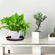 thumbnail image 5 of KAKOWELY 5Ud Plastic Plant Pot Plates Coffee Color Reusable Tray for Home Indoor Decorating, 5 of 5