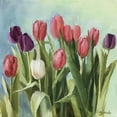 thumbnail image 2 of Strube, Ling 12x12 Gold Ornate Wood Framed with Double Matting Museum Art Print Titled - Tulips II, 2 of 4