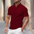 thumbnail image 2 of Men Summer Casual Style Solid Short Sleeve Lapel Tennis T Shirt Tops, 2 of 9