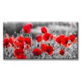 thumbnail image 1 of Cuadro Canva Listo Para Colgar Tipo Galería Flores Gris Rojo 30X60 cm, 1 of 4