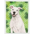 thumbnail image 1 of Carolines Treasures BB9536CHF Drapeau de Maison en Toile Blanc St. Patrick's, 1 of 4