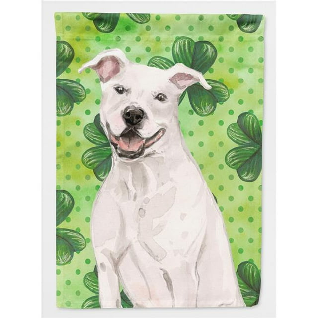 Carolines Treasures BB9536CHF Drapeau de Maison en Toile Blanc St. Patrick's