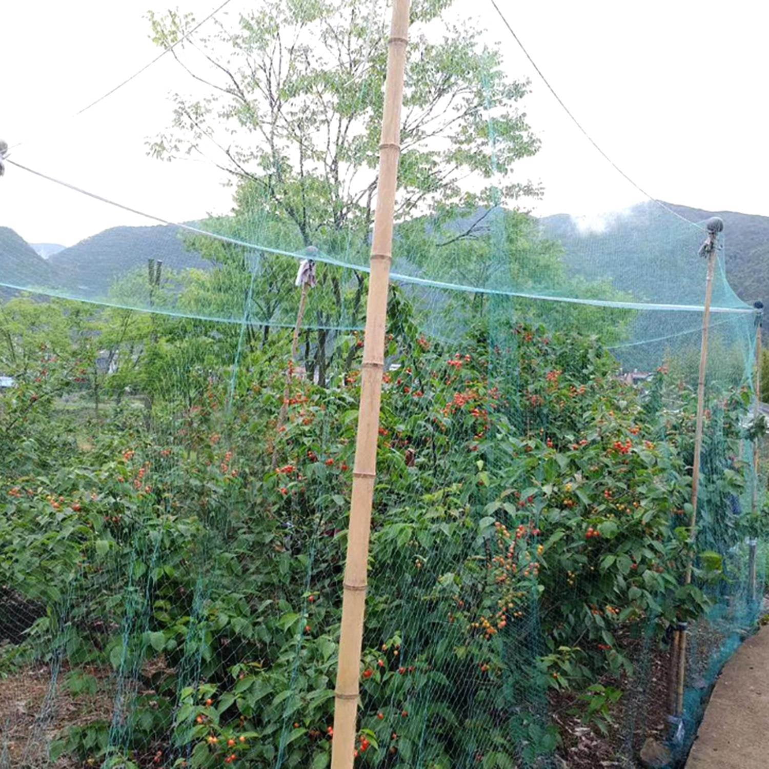 13ft x 33ft Garden Netting with 0.6" Mesh Holes, Heavy-Duty PE Anti-UV Bird Proof Net, 430sqft Plant Protection Cover for Vegetables Fruits Flowers