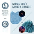 thumbnail image 2 of Body Scrubber Scrubber Scrubber Scrub, 2 of 7