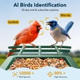 thumbnail image 4 of Comedero para aves PeckCam con cámara solar con IA 2K HD y 32 GB, 4 of 9
