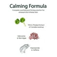 thumbnail image 4 of Madeca Derma Revitalizing Facial Mask (*10ea), 4 of 5