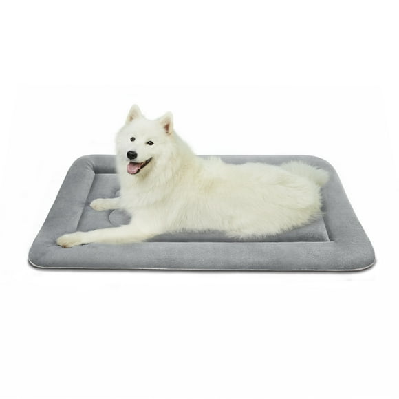 does walmart sell dog beds