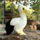 thumbnail image 1 of 25/35/45CM Simulated Bird Plush Toys Lifelike Flamingo Pelican Vulture Eagle Stuffed Wild Animal Doll Cute Home Ornament GiftsPelicans25cm Deng Xun unisex, 1 of 2