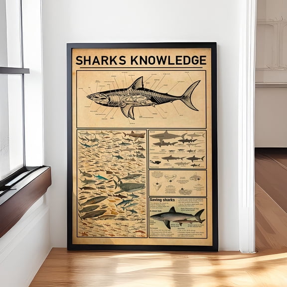 YaHaku Sharks Knowledge Poster – Types of Sharks Chart – Shark Wall Art for & Adults – Ocean Animal Educational Print – Shark Lover Gift