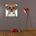 thumbnail image 6 of Epic Graffiti 'Boxer Wearing Hipster Glasses' by Furbaby Affiliates, Canvas Wall Art, 26"x26", 6 of 8