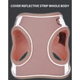 thumbnail image 5 of Dog Harness for Small Medium Dogs No Pull, Cat Harness and Leash Set, Puppy Harness for Small Dogs, Step in Harness for Small Dogs, Small Dog Harness, mesh Dog Harness (Pink, M), 5 of 8