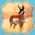 thumbnail image 2 of CafePress - Lone Antelope - Cute Infant Bodysuit Baby Romper - Size Newborn - 24 Months, 2 of 3
