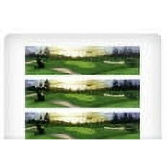 Golf Scene Edible Photo Image Cake Border Decoration