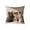 #02, variant on Fwttom 18x18 Pillow Covers, Imitation Embroidery Pillow Cases, Simulated Cute Pet Animals Printed Throw Pillow Covers 18x18 for Holiday Sofa Cushion Cover, Multicolor