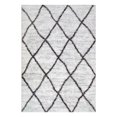 thumbnail image 1 of 595850 Ardita Soft Shag Trellis Modern Gray/Charcoal Area Rug 3'9" x 5'9", 1 of 3