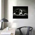 thumbnail image 3 of Nawypu  Framed Canvas Wall Art Emotion Photo Down Black and White Border Collie Photo Print Large Size Artwork Stretched &amp; Framed Poster Home Decor for Living Room Ready to Hang, 3 of 4