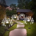 thumbnail image 2 of Luces solares de fuegos artificiales, luces de jardín, paquete de 4, 120 luces decorativas LED, luces solares decorativas Starburst (blanco frío), 2 of 5