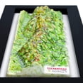 thumbnail image 6 of Shenandoah National Park 3D Raised Relief Map, 6 of 9