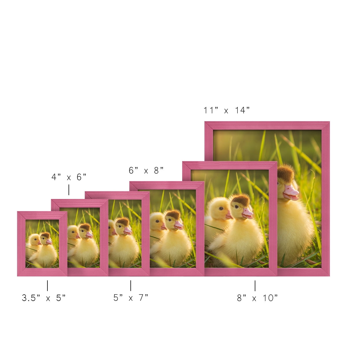 Grooved 11 in. x 14 in. Pink Picture Frame Set (Set of 4)