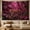C, variant on XaaKee Large Wall Tapestry, Magenta Rainforest Cat Tapestry Wall Hanging, High-Quality Polyester Tapestry For Bedroom And Studio, 60x40Inch[cite: 1]