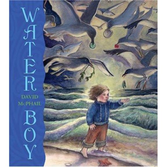 Pre-Owned Water Boy (Hardcover) 081091784X 9780810917842