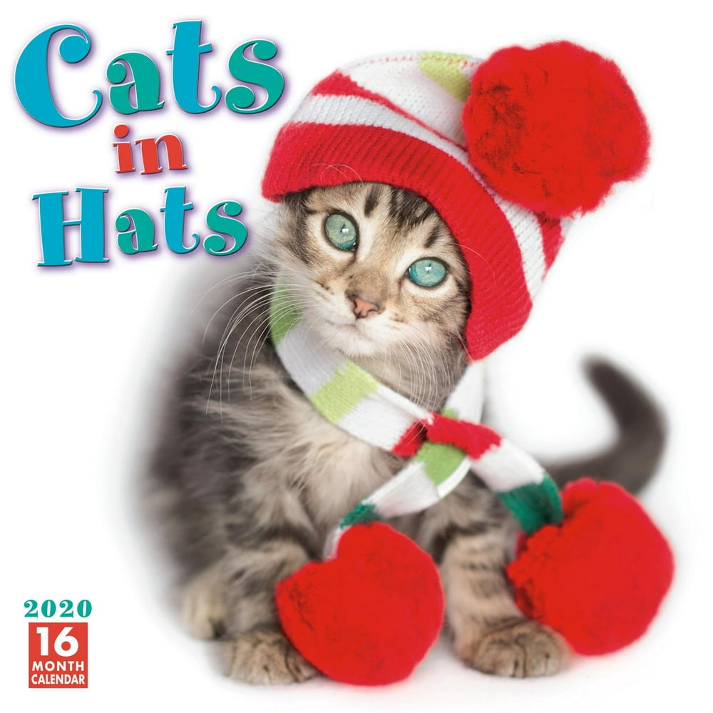 2020-cats-in-hats-16-month-wall-calendar-by-sellers-publishing-other-walmart-walmart
