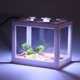 thumbnail image 3 of Lámpara de Acuario Mini Única Bargains Luz de Acuario USB Luz LED para Pecera de Escritorio Pequeña Decoración Luz de Acuario Blanca, 3 of 7