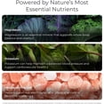 thumbnail image 7 of Livingood Daily Electrolytes Powder, Electrolytes Hydration Drink Mix With Vitamin C, Magnesium, Taurine & Sea Salt, Electrolyte Supplement For Energy & Hydration, Keto, Strawberry Lemonade, 30 Srvgs, 7 of 7