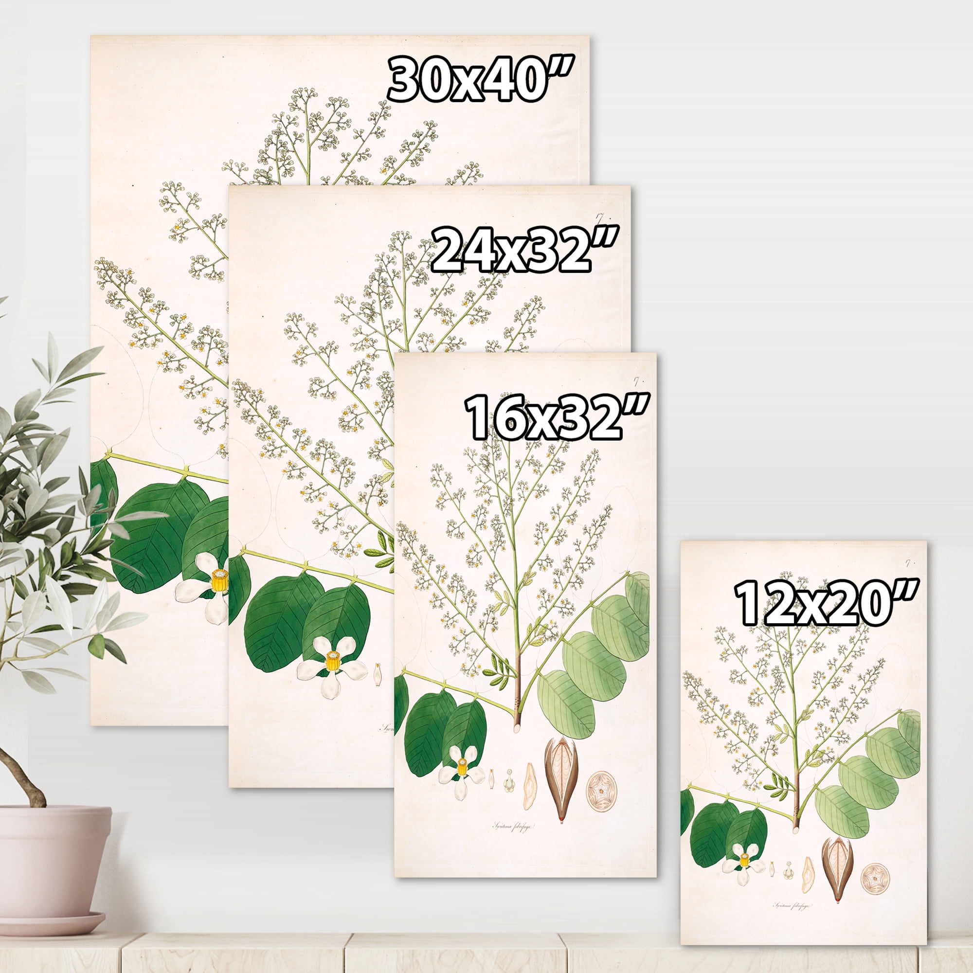 Designart ' Ancient Botanicals XVI ' Farmhouse Canvas Wall Art Print