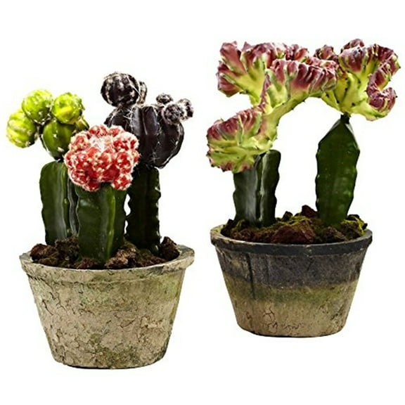 Nearly Natural 10in. Colorful Artificial Cactus Plant Gardens (Set of 2), Assorted