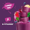 Blender Bites 1Step Power Berry Smoothie, 12.7 oz