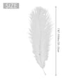 thumbnail image 4 of 10 Pieces White Natural Ostrich 20-25cm Wedding DIY,1 Bag of Ostrich Feather(10 pc),White, 4 of 5