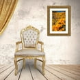 thumbnail image 3 of Jaynes Gallery 23x32 Gold Ornate Wood Framed with Double Matting Museum Art Print Titled - Arizona-Peridot Mesa California poppies in bloom, 3 of 4