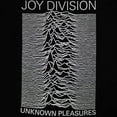 thumbnail image 2 of Joy Division Ladies T-Shirt: Unknown Pleasures FP, 2 of 2