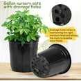thumbnail image 3 of 2/3/5 Gallon Pots for Plants,Flexible Gallon Plastic Nursery Pots with Drainage Holes, Plastic Pots for Outdoor Plants (2Gal-36pcs), 3 of 7