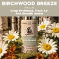 thumbnail image 4 of Dr. Squatch Mens Aluminum Free Deodorant, Natural Deodorant for Men, Birchwood Breeze, 2.65 Oz, 4 of 18