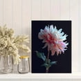 thumbnail image 2 of Dahlia Flower Canvas Print Wall Art for Living Room Office Hotel Hallway, 2 of 8