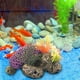 thumbnail image 5 of Plantas artificiales de acuario, tortuga , decoraciones para peceras, decoración para hogar, resina, 15x11 pulgadas, paisaje de acuario Yinane Tortuga de coral de acuario, 5 of 8