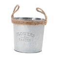 thumbnail image 4 of Regadera s Suculentas Florero Decoración Estilo Clásico 2 Sunnimix Cubo de plantas de flores de metal, 4 of 7