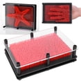 thumbnail image 4 of Pin Art Toy Pinart Juegos 3D Niños Educativo ANGGREK Otros, 4 of 8