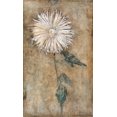 thumbnail image 2 of Mondrian, Piet 16x24 Black Ornate Wood Framed with Double Matting Museum Art Print Titled - Chrysanthemum, 2 of 4